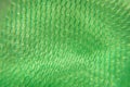 Defocused green abstract background close-up Royalty Free Stock Photo