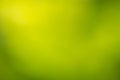 Defocused green nature abstract background Royalty Free Stock Photo