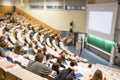 Defocused image of audience at the conference hall during academic lecture. Royalty Free Stock Photo