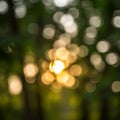 Defocused image featuring circular bokeh patterns created by sunlight filtering throug Royalty Free Stock Photo