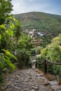 Defocused leaves on branch along old pedestrian stone path in Foz d`Ãâ°gua, with view of mountain shale houses,, Arganil PT Royalty Free Stock Photo