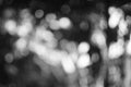 defocused light dots at times square in new york city mulitcolored defocused light dots nice background Royalty Free Stock Photo