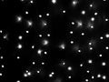 Defocused lights of Christmas garland in black and white evenly distributed over the area of the frame, background, texture Royalty Free Stock Photo