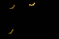 Defocused multicolor bokeh lights in shape of bats for halloween background. copy space. Background for halloween