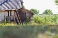 Defocused old dilapidated deserted barn in the courtyard on a green background. Various utensils near him. Old bike at