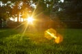 Defocused park with benches and trees, at sunset. heavy lens flare from a vintage lens