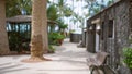 Defocused tropical resort pathway with blurred palm trees and bokeh background Royalty Free Stock Photo