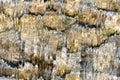 Defocused wet stone seamless pattern, waterfall natural look, stones under running water Royalty Free Stock Photo
