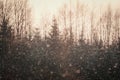 Defocused winter landscape, forest and snowfall. Vintage style