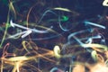 Defocused yellow blue swirly lines colored light Royalty Free Stock Photo