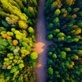 Deforest environmental problem, aerial split image from above top view,logging of rain forest, created with Generative AI