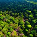 Deforest environmental problem, aerial split image from above top view,logging of rain forest, created with Generative AI