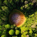 Deforest environmental problem, aerial split image from above top view,logging of rain forest, created with Generative AI