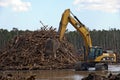 Deforestation Royalty Free Stock Photo