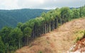 Deforestation Royalty Free Stock Photo