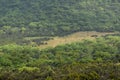Deforestation in the Aberdare Ranges on the flanks of Mount Kenya