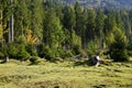 Deforestation in Alps