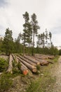 Deforestation in the Alps.