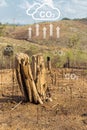 Deforestation are the anthropogenic source of atmospheric carbon dioxide emissions cause of climate change Royalty Free Stock Photo
