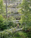 Deforestation caused by a landslide in Ciucas mountains, Romania. Environmental issues in nature