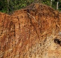 Deforestation close up with roots, rocks showing in sunlight. Red and yellow rocks where soil was dug from forest using an