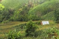 The deforestation for cultivation of agriculture on the mountain