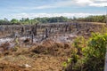 Deforestation: cut trees and burnt down forest in favor of agriculture, slash and burn tactics, as seen in the amazon jungle and