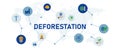 deforestation cutting tree nature ecology environment destroy forest destruction Royalty Free Stock Photo