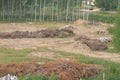 Deforestation and deforesting for the construction of a house on a construction site Royalty Free Stock Photo
