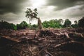 Silent Destruction: Deforestation and Environmental Damage Royalty Free Stock Photo