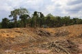 Deforestation environmental problem