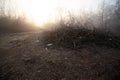 Deforestation for firewood for heating. Blackout. Preparation of brushwood for the winter, furnace firebox Royalty Free Stock Photo