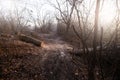 Deforestation for firewood for heating. Blackout. Preparation of brushwood for the winter, furnace firebox Royalty Free Stock Photo