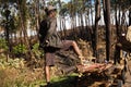 Deforestation of the forest at Madagascar