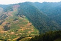 Deforestation at the frontier to Bwindi Nationalpark in Uganda