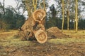 Deforestation at Lake Elementaita, Kenya