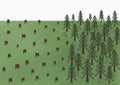 Deforestation landscape, big trees and a lot of stumps, vector illustration