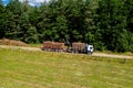 Deforestation and logging top view. Trucks take away logs. Forest industry Royalty Free Stock Photo