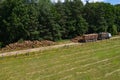 Deforestation and logging top view. Trucks take away logs. Forest industry Royalty Free Stock Photo