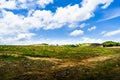 Deforestation on the mountain for agricultural, causing global warming and degrading forests. Royalty Free Stock Photo