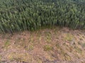 Deforestation, newly cut down forest, clear felled area in Sweden. Drone aerial photography. Royalty Free Stock Photo