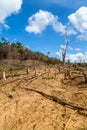 Deforestation in the Philippines Royalty Free Stock Photo