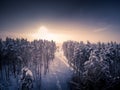 Toned. Deforestation for power lines. Aerial view. Winter forest. Tree in snow. Sunny day Royalty Free Stock Photo