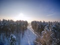 Deforestation for power lines. Aerial view. Winter forest. Tree in snow. Sunny day Royalty Free Stock Photo