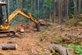 During the deforestation process, a tractor manipulator operates to uproot trees, lift logs, and prepare the land for