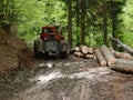 Deforestation in Romania