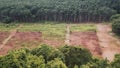 Devastation Unveiled: Deforestation's Impact on Scarred Earth Royalty Free Stock Photo