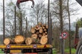 Deforestation and timber harvesting
