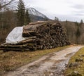 Deforestation wood pile ecological problem human corruption about nature concept picture from European Union territory in alps