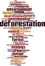 Deforestation word cloud